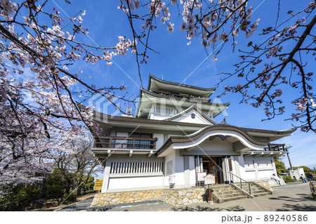 桜と小牧山城天守　麒麟の城 89240586