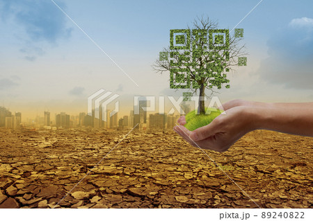 Hands holding dead tree shaped like qrcore in the dry forest and city background. Technology , Business and Nature Concept. Hands holding dead tree shaped like qrcore in the dry forest and city background. Technology , Business and Nature Concept. 89240822