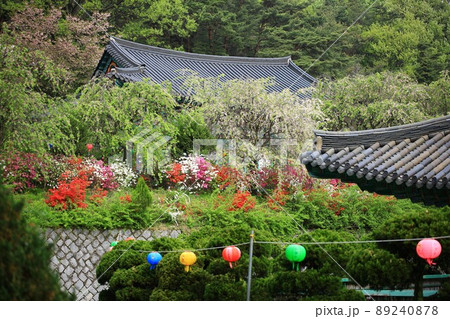 寺院 建物 風景 89240878
