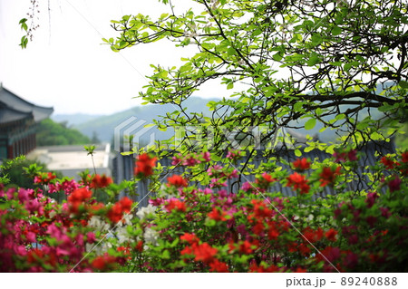 花 寺院 建物 89240888