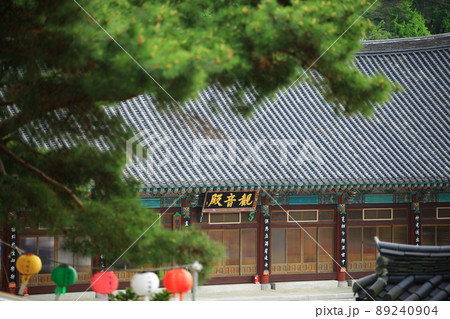 寺院 春 天安市 89240904