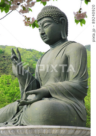 花 春 天安市 89240920