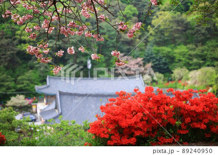 寺院 建物 花 89240950