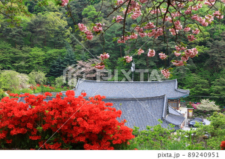 寺院 建物 花 89240951