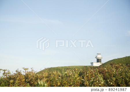 礼文島元地灯台、青空 礼文島元地灯台、青空 89241987