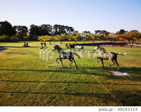道の駅みさわくれ馬ぱーく 89242324
