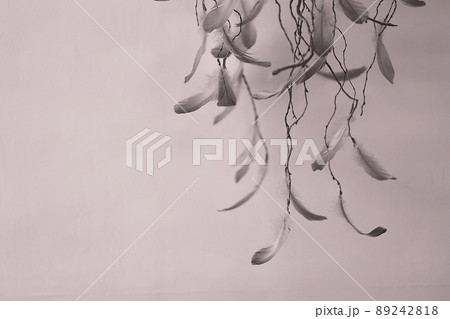 装飾 クローズアップ 風景 89242818