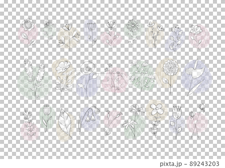 Flower / plant sketch Flower / plant sketch 89243203