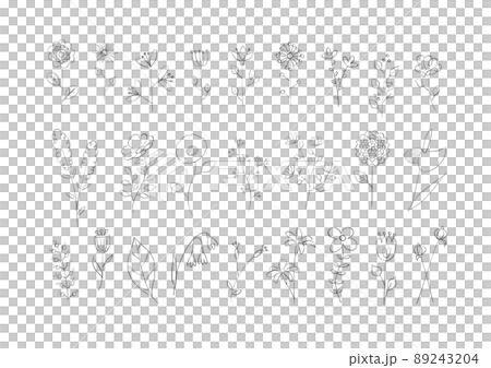 Flower / plant pencil sketch Flower / plant pencil sketch 89243204