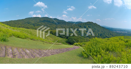 真夏の若草山から南側登山道を見下ろす 89243710