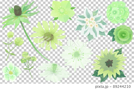 グリーンフラワーのイラストセット 89244210