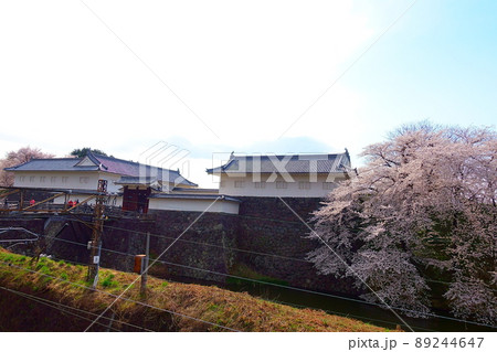 桜 サクラ さくら 霞城公園 桜 サクラ さくら 霞城公園 89244647