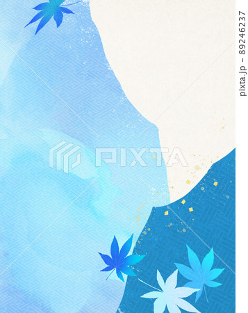 夏向けの和風背景 89246237