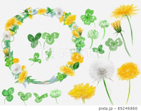 水彩画イラストたんぽぽとシロツメクサとクローバーの花の