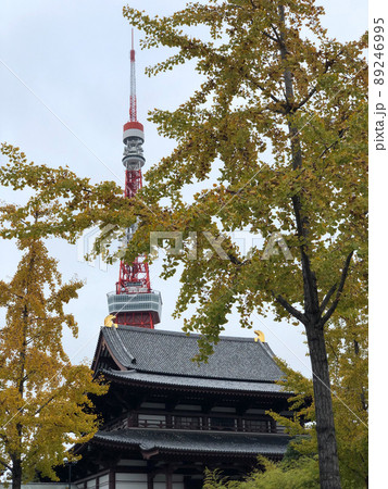 増上寺と東京タワー 89246995