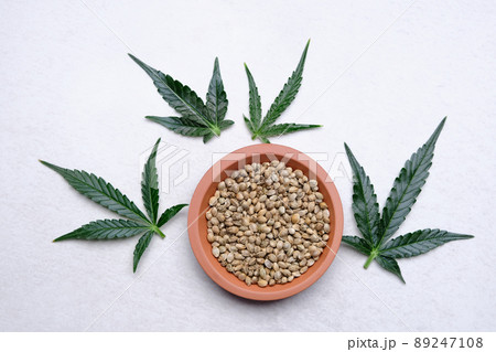 A bunch of cannabis seeds on a plate with green leaf. Hemp grain on grey background 89247108