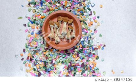 Psychedelic psilocybin mushrooms on white background, micro-dosing concept 89247156