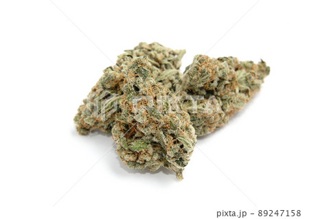 Hemp growing concept, drying and curing. Hemp growing concept, drying and curing. 89247158