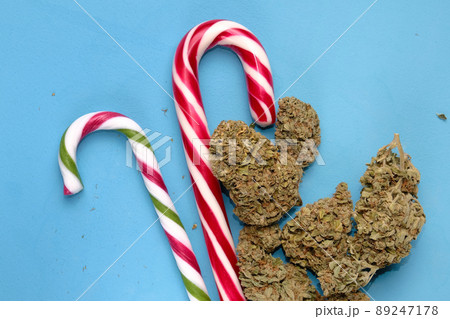Cannabis buds and Christmas lollipops on blue layout. Marijuana blooms. Drying hemp flowers on a table, top view, flat lay Cannabis buds and Christmas lollipops on blue layout. Marijuana blooms. Drying hemp flowers on a table, top view, flat lay 89247178