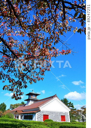 新潟市税関庁舎（新潟市） 89247251