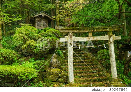 森の中の神社 89247642