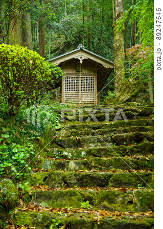 森の中の神社 森の中の神社 89247646