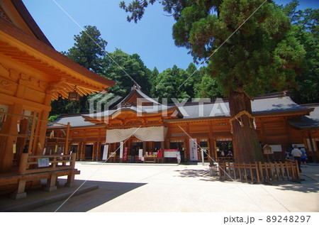 穂高神社（長野県安曇野市） 89248297