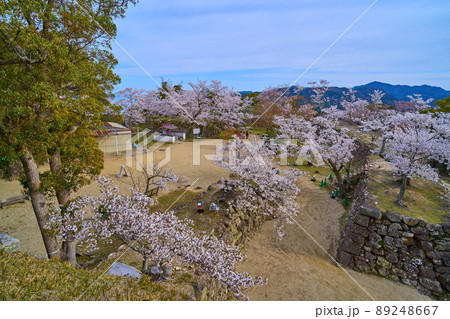 春の兵庫県洲本市の洲本城跡(本丸と芝右衛門狸の祠方面) 89248667