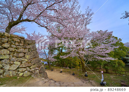 春の兵庫県洲本市の洲本城跡(本丸虎口) 89248669