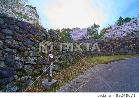 春の兵庫県洲本市の洲本城跡(大手門跡) 春の兵庫県洲本市の洲本城跡(大手門跡) 89248671