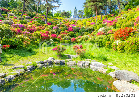 塩船平和観音と観音池2 89250201