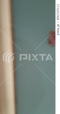 建築 人物 建設業 89250511