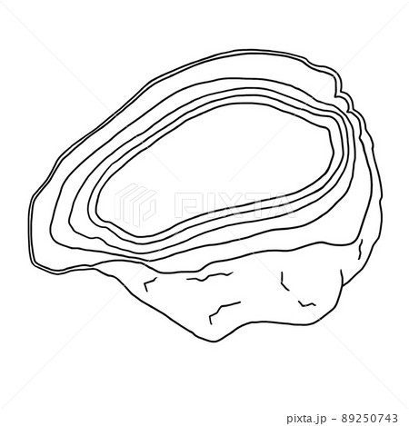ナッツオパールの線描イラスト ナッツオパールの線描イラスト 89250743
