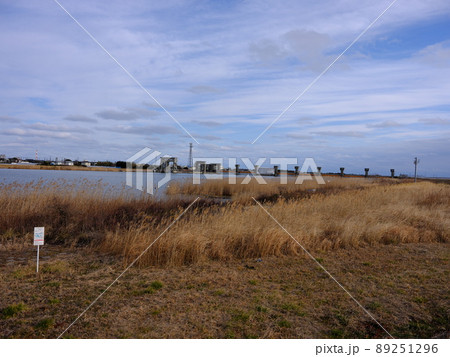 利根川の風景 89251296