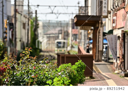 停留所に到着する路面電車 ピントは手前のバラの花 薔薇の木 柔らかいボケの中の停留所 停留所に到着する路面電車 ピントは手前のバラの花 薔薇の木 柔らかいボケの中の停留所 89251942