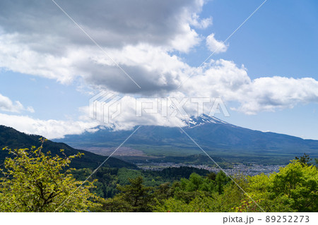 堂尾山富士見台から見た富士山（堂尾山公園） 89252273