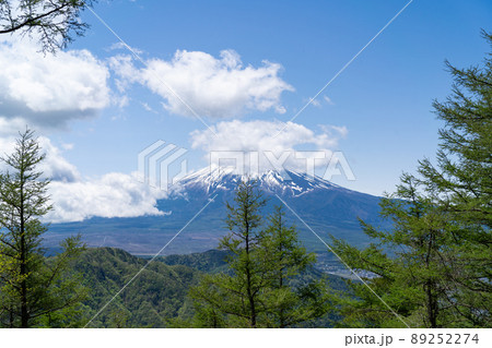 想定ヶ峰から見た富士山(倉見山と堂尾山公園の間) 想定ヶ峰から見た富士山(倉見山と堂尾山公園の間) 89252274