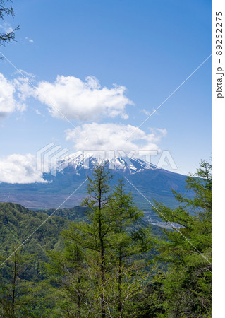 想定ヶ峰から見た富士山(倉見山と堂尾山公園の間) 想定ヶ峰から見た富士山(倉見山と堂尾山公園の間) 89252275