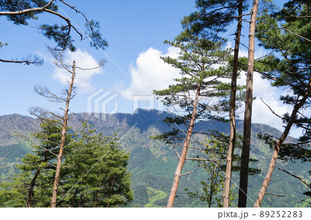 さすの平から見た三ツ峠山(倉見山の厄神ルート) さすの平から見た三ツ峠山(倉見山の厄神ルート) 89252283