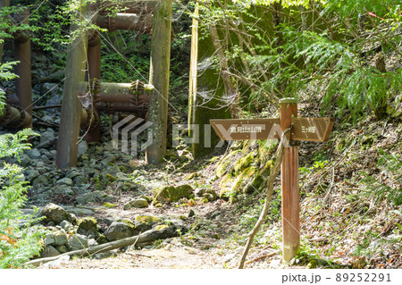 倉見山の厄神ルート登山口 89252291