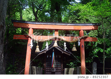 伊居太神社嚴島社-1 伊居太神社嚴島社-1 89252307