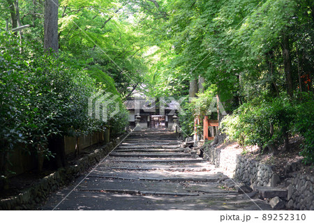 穴織宮 伊居太神社大門-2 穴織宮 伊居太神社大門-2 89252310