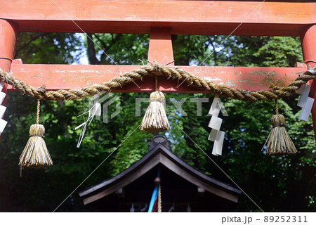 伊居太神社嚴島社-3 伊居太神社嚴島社-3 89252311