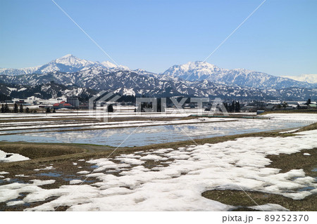 早春の越後駒ケ岳と八海山 89252370