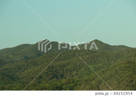 新緑のやんばるの山々 新緑のやんばるの山々 89252954