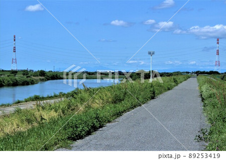 江戸川堤とサイクリングロード 江戸川堤とサイクリングロード 89253419