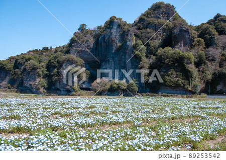 ネモフィラと競秀峰・青の洞門 89253542