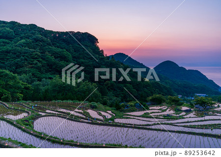 （静岡県松崎町）石部棚田、石部の灯り、キャンドルナイトイベント 89253642