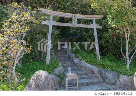 志賀海神社の鳥居 89254512