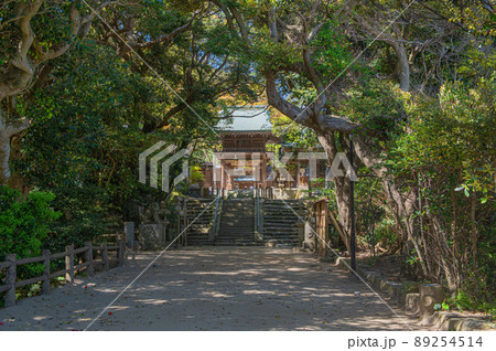 志賀海神社の参道と楼門 89254514